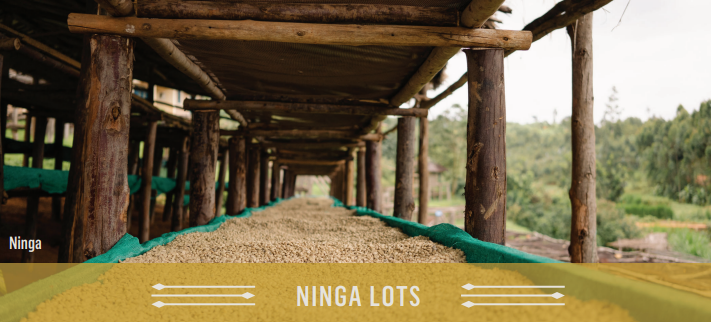 Burundi Bukeye - Long Miles