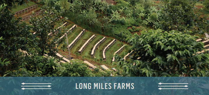 Burundi Bukeye - Long Miles